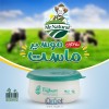ماست موسیر 450 گرم آقای طبیعی