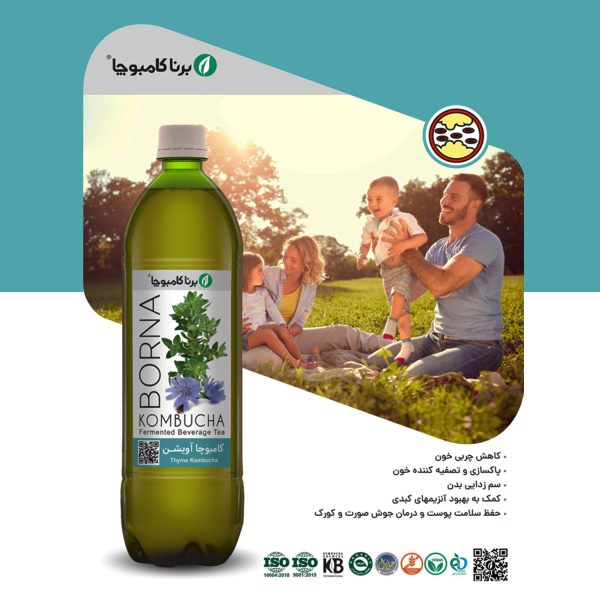 کامبوچا آویشن یک لیتری برنا