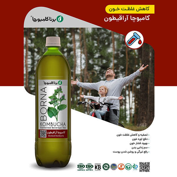 کامبوچا اراقیطون یک لیتری کاهش غلظت خون برنا