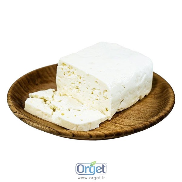 پنیر سالم بز 400 گرمی ارگت
