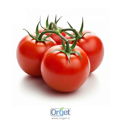 گوجه فرنگی ارگانیک آبگینه