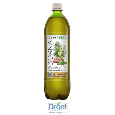 کامبوچا زنجبیل و نعناع یک لیتری (معده و گوارش)