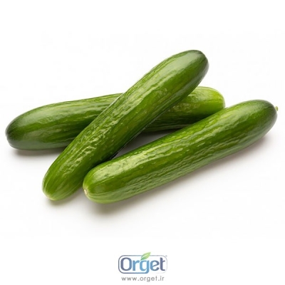 خیار ارگانیک آبگینه